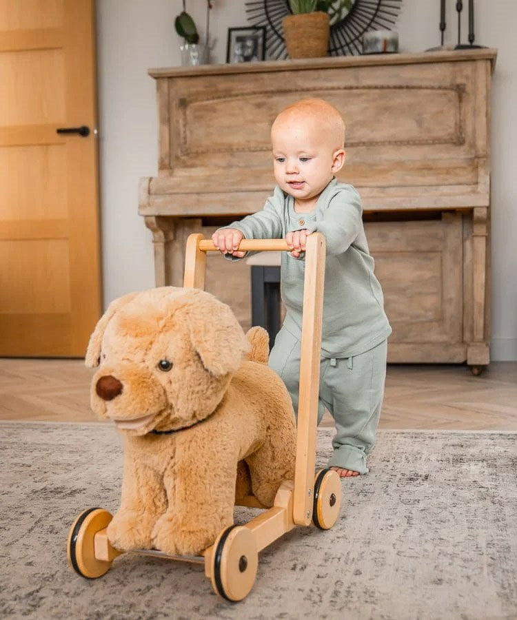 Little Bird Told Me Dexter Dog Push Along Baby Walker