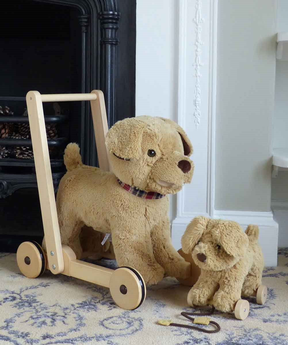 Little Bird Told Me Dexter Dog 2-in-1 Pull Along Toy