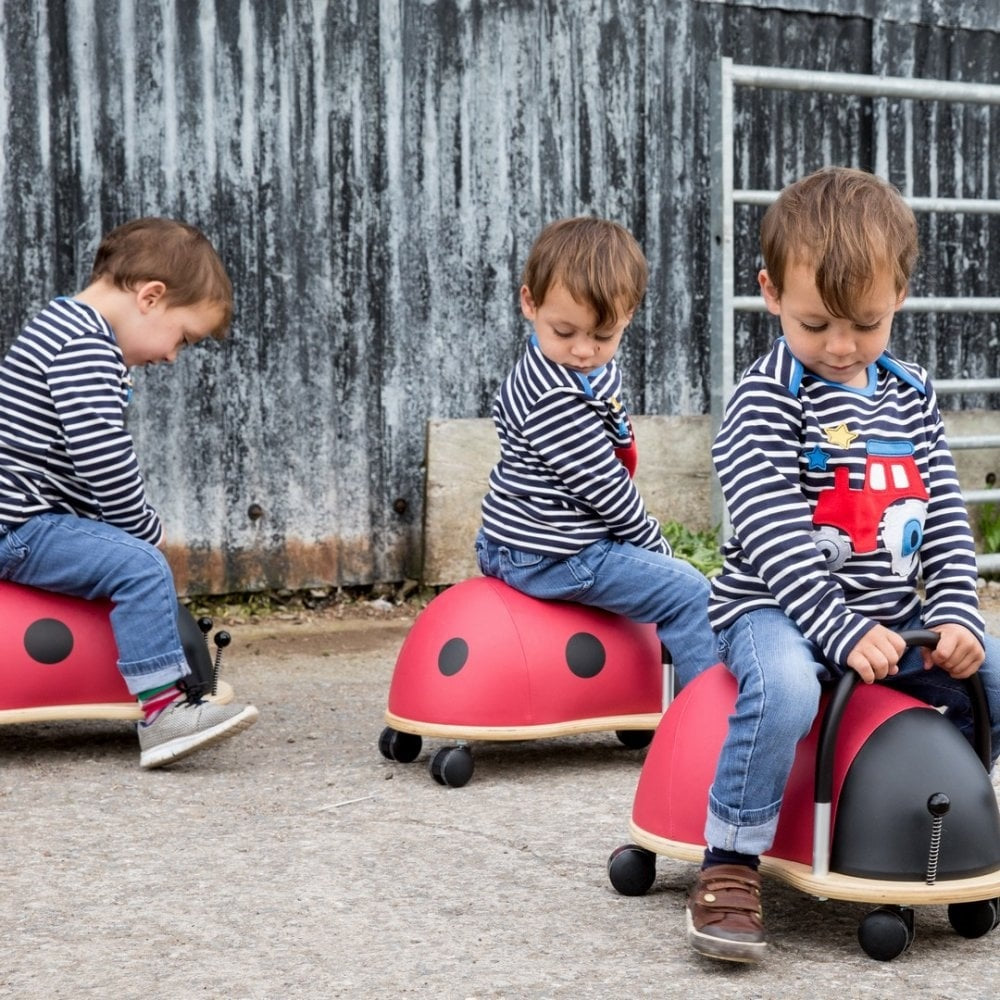 Wheelybug Ladybird Ride On Toy
