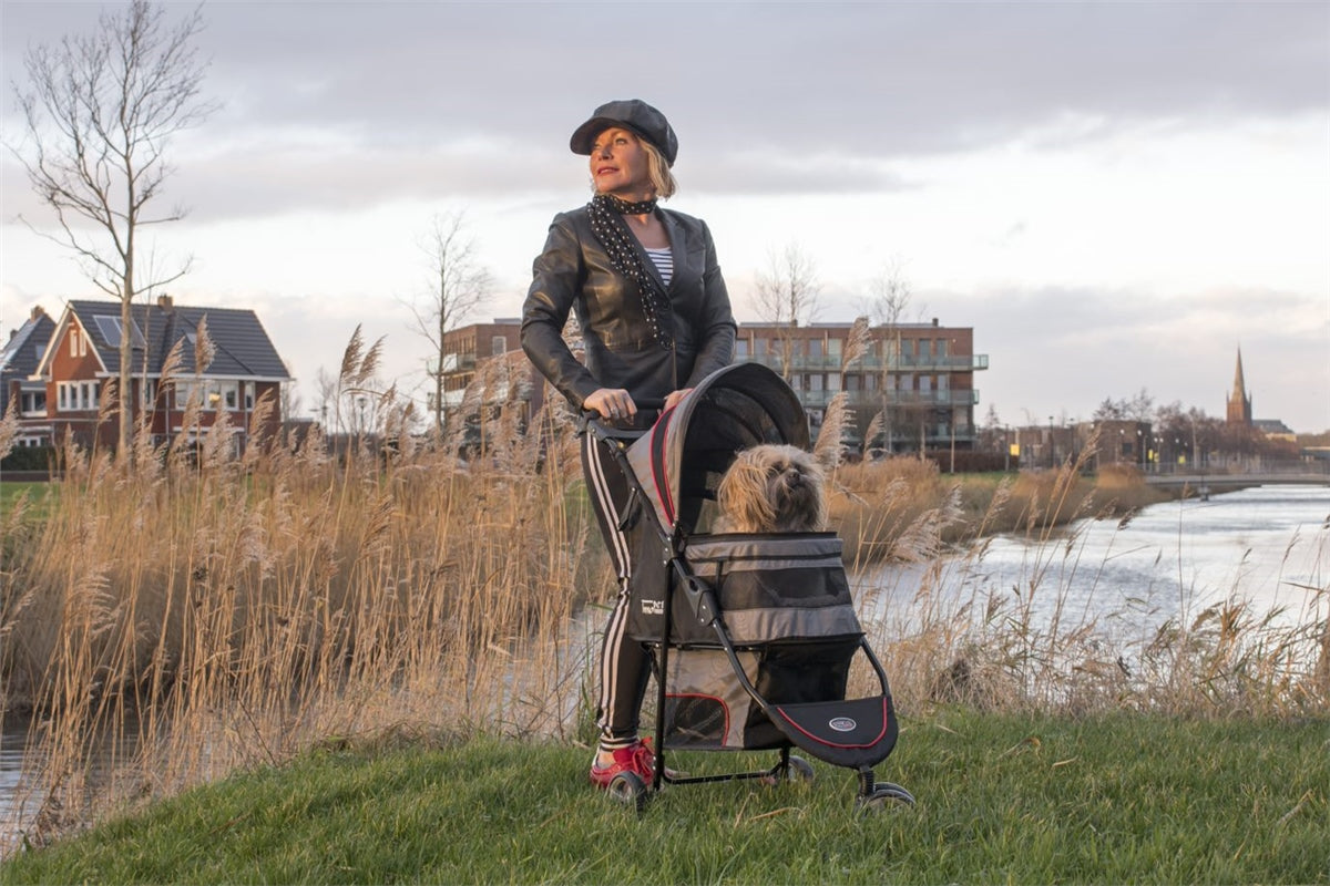 Innopet Avenue Pet Buggy