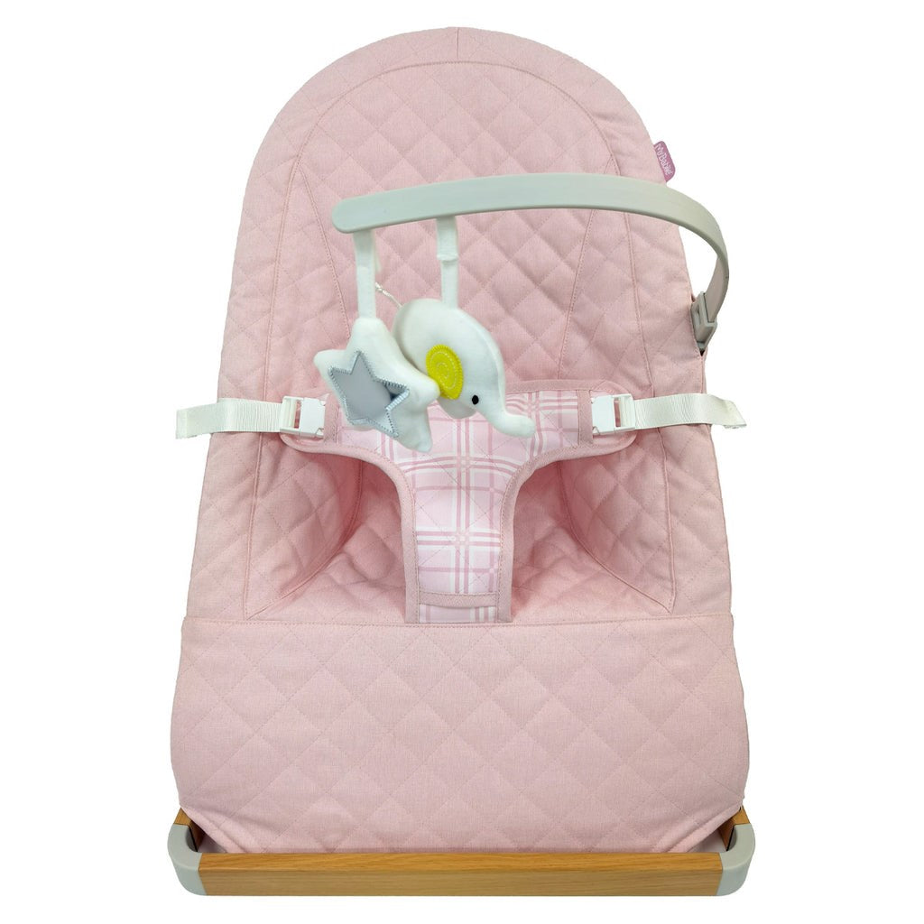 My Babiie Baby Bouncer