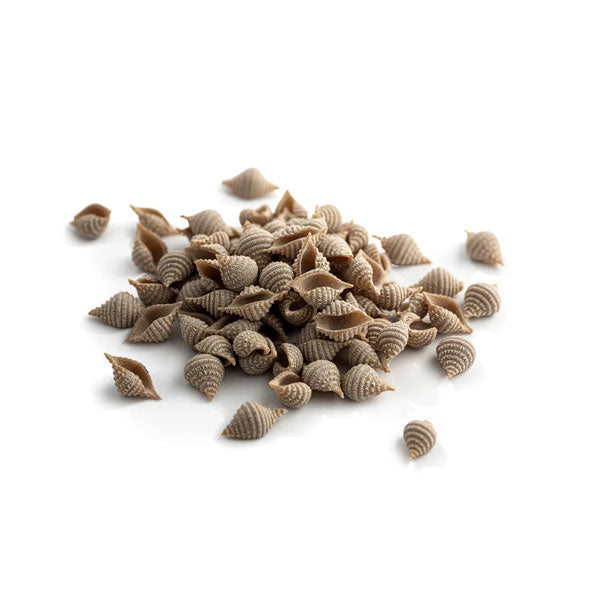 Carleschi Organic Wholegrain Spelt Conchiglie