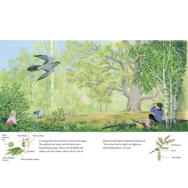 A Year Around the Great Oak - Gerda Muller