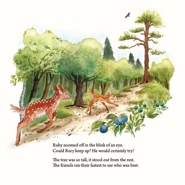 Rory the Little Red Deer - Lynne Rickards