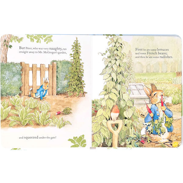 The Tale of Peter Rabbit Picture Book - Beatrix Potter