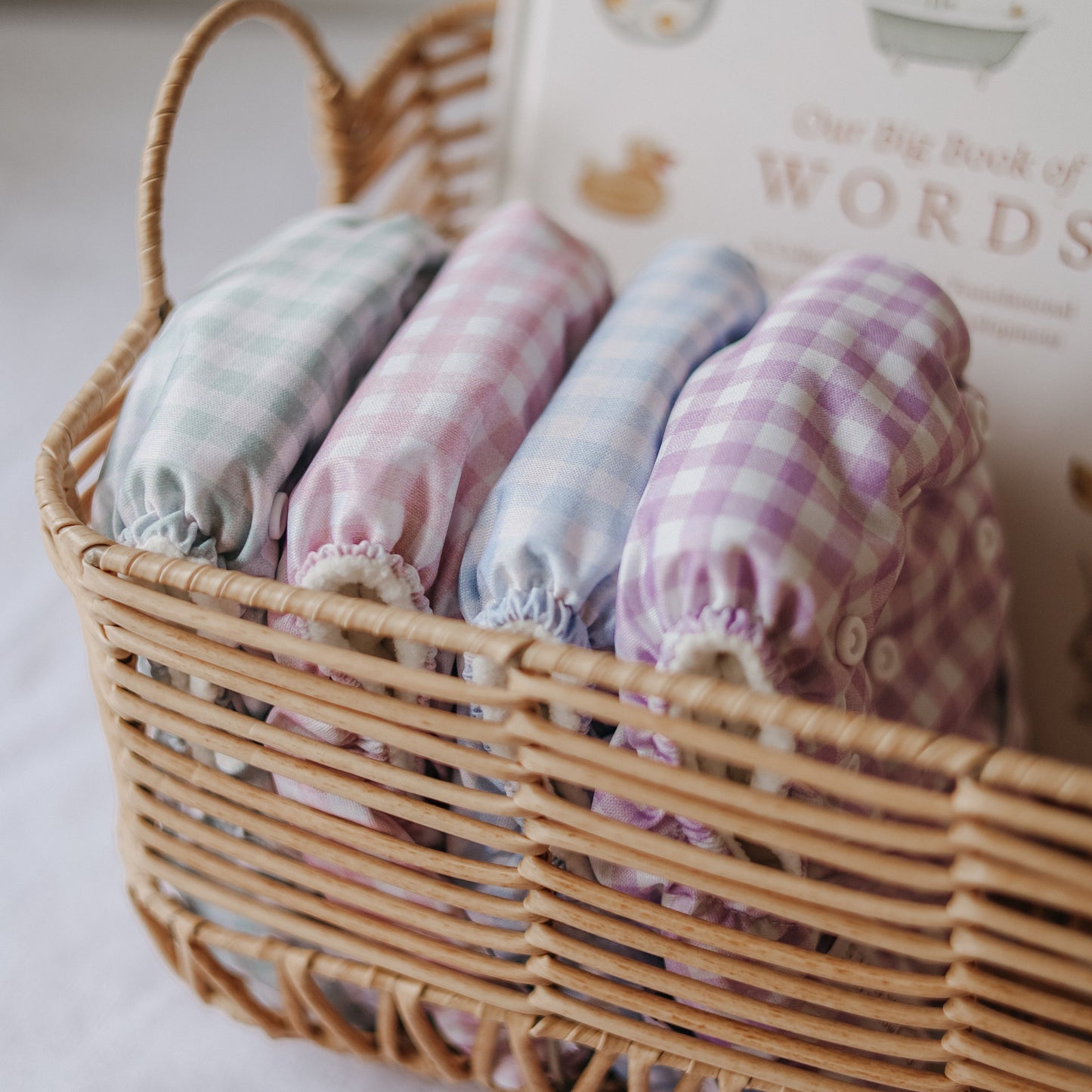One Size All-In-One Reusable Cloth Nappy - Blue Gingham