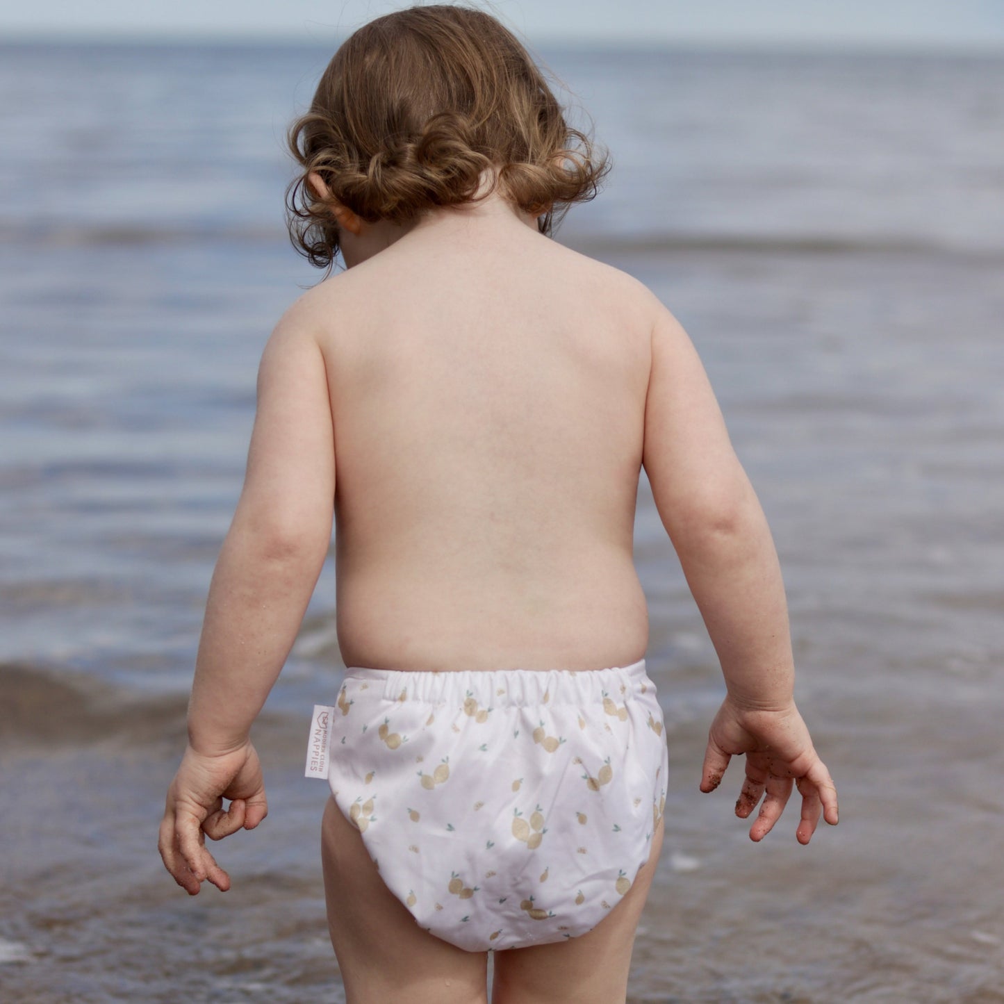 3-5 Years Toddler Reusable Swim Nappies - Little Limone