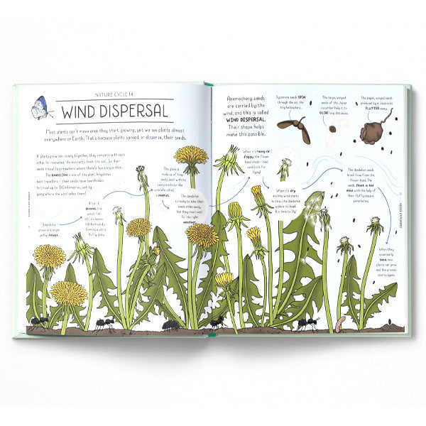 Nature Explained : A Family Guide to 20 Nature Cycles - Helen Brown