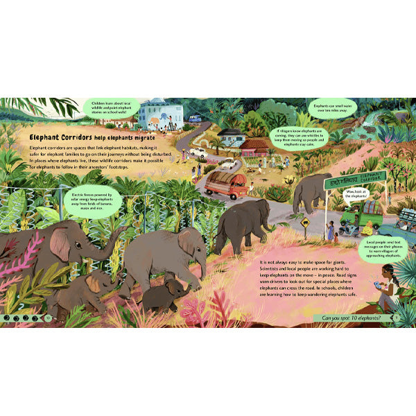 Wildlife Crossings : Protecting Animal Pathways Around the World - Catherine Barr