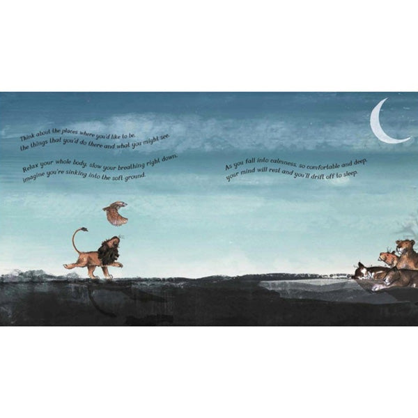 Arlo The Lion Who Couldn't Sleep - Catherine Rayner