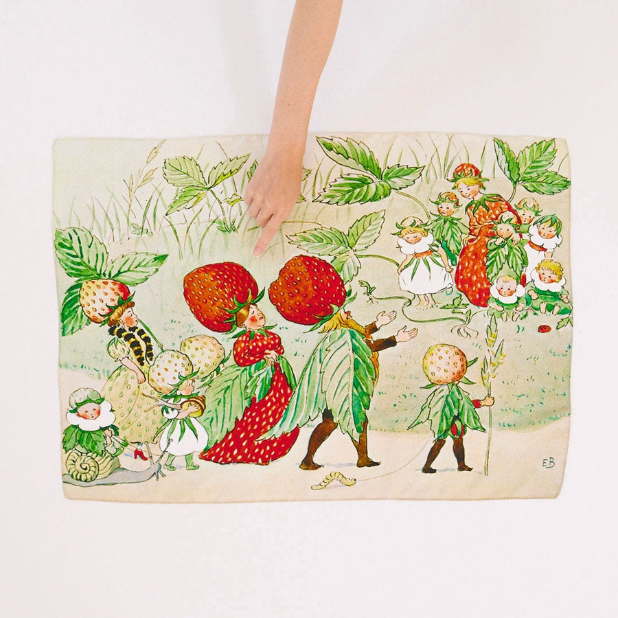 Sarah's Silks Strawberry Family Seek & Find