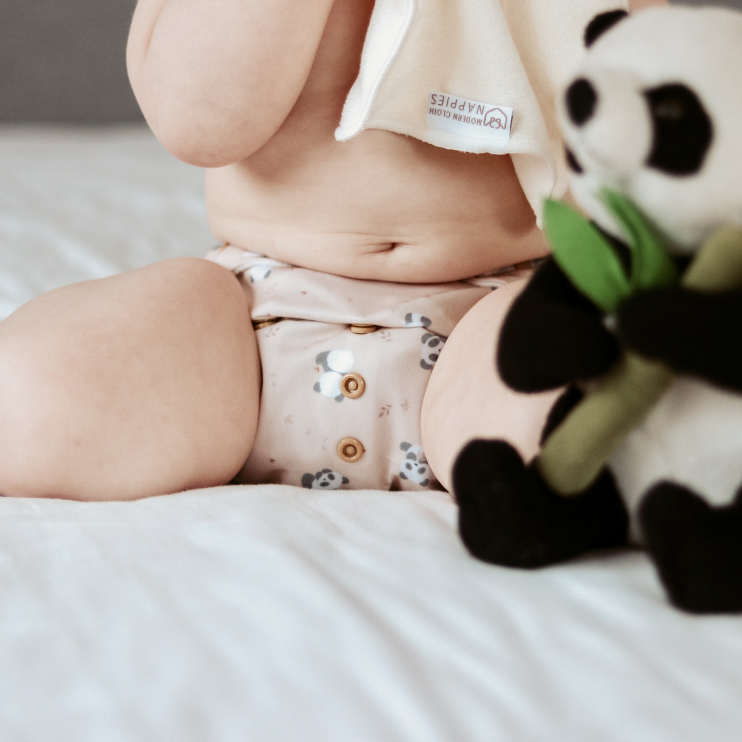 One Size All-In-One Reusable Cloth Nappy - Pandas Charity Print