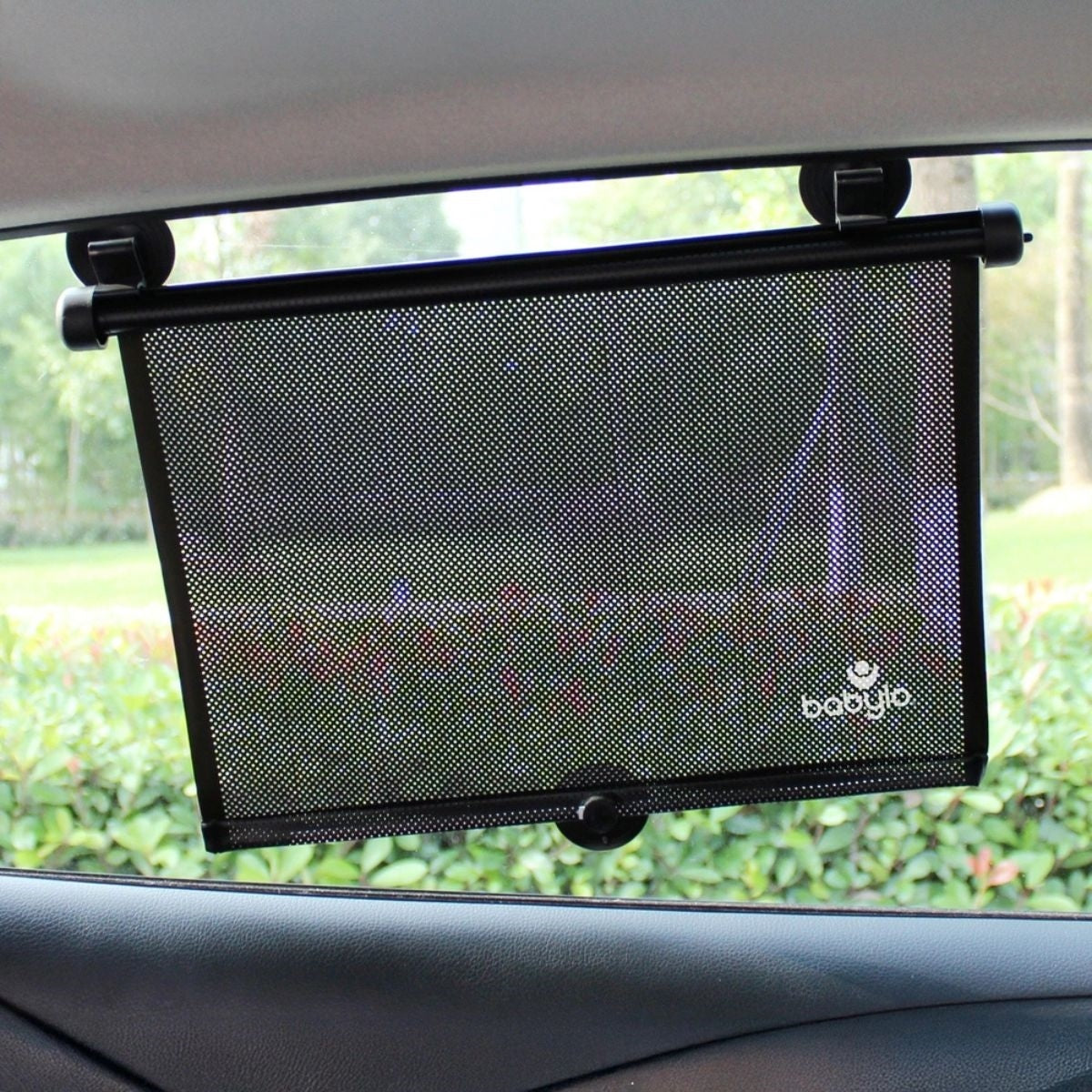 Roller Shade - 2 Pack