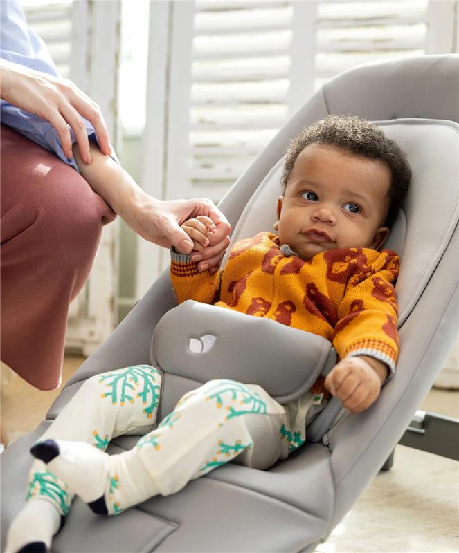 Joie Dreamer Rocker & Bouncer, Arctic (Copy)