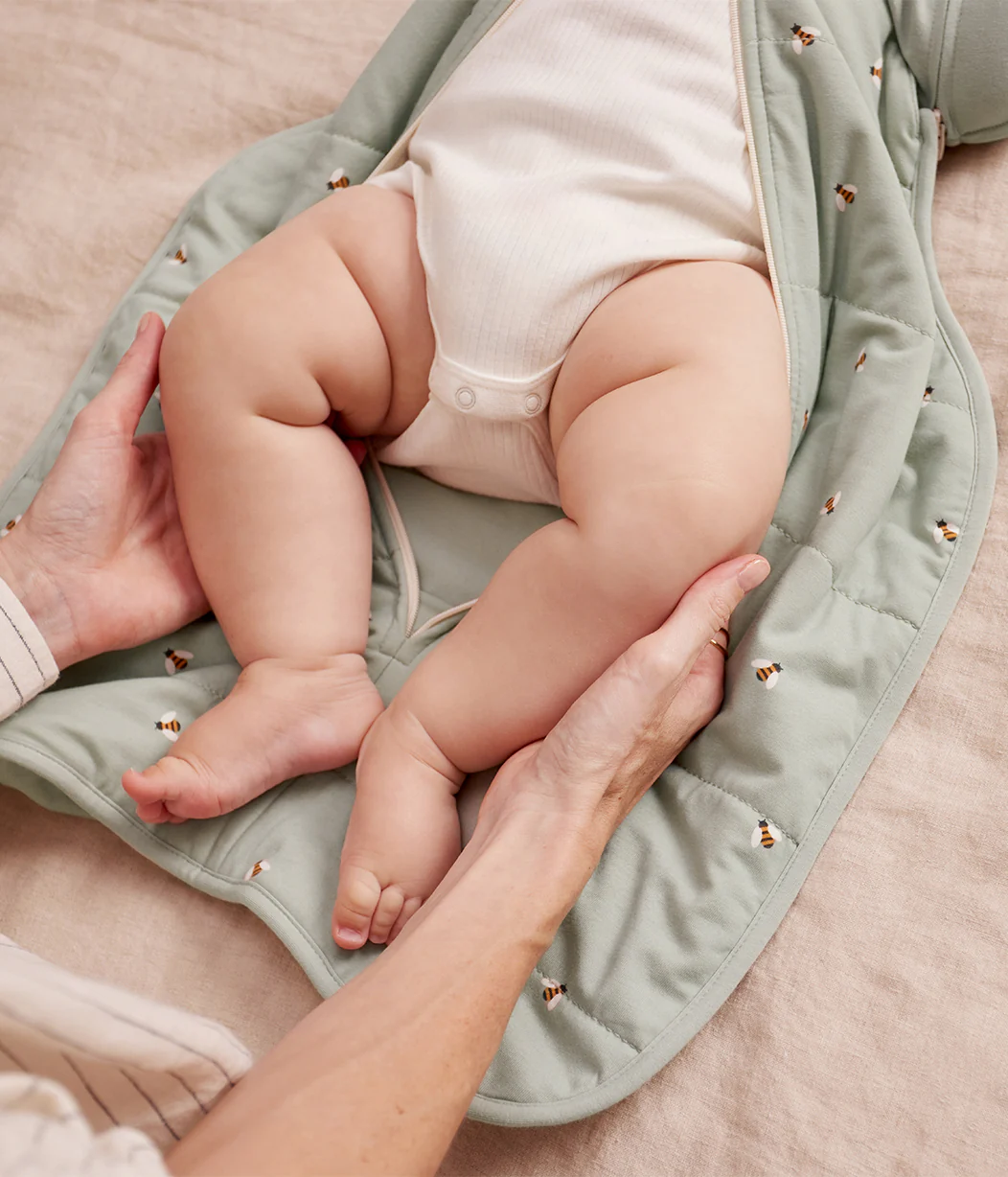 Love To Dream Swaddle Up Transition Bag Medium (13-19lbs) 2.5TOG Olive Bees