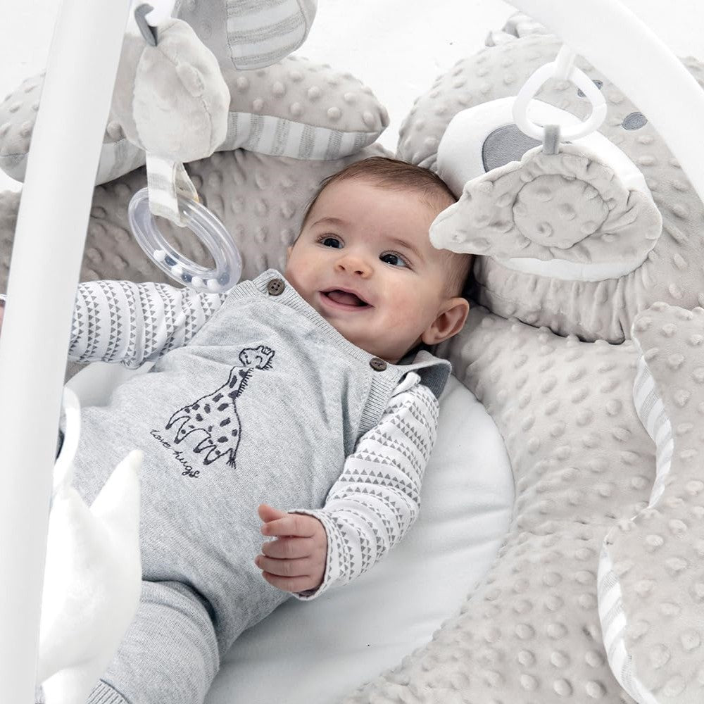 Babyzee Bear Necessities Play Gym (0m+)