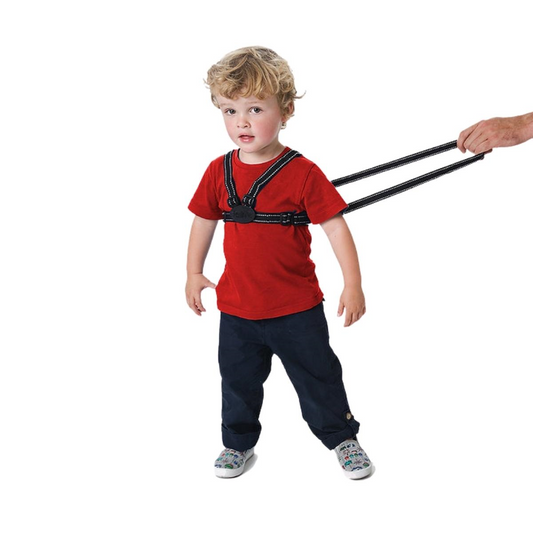 Red Kite Harness & Reins