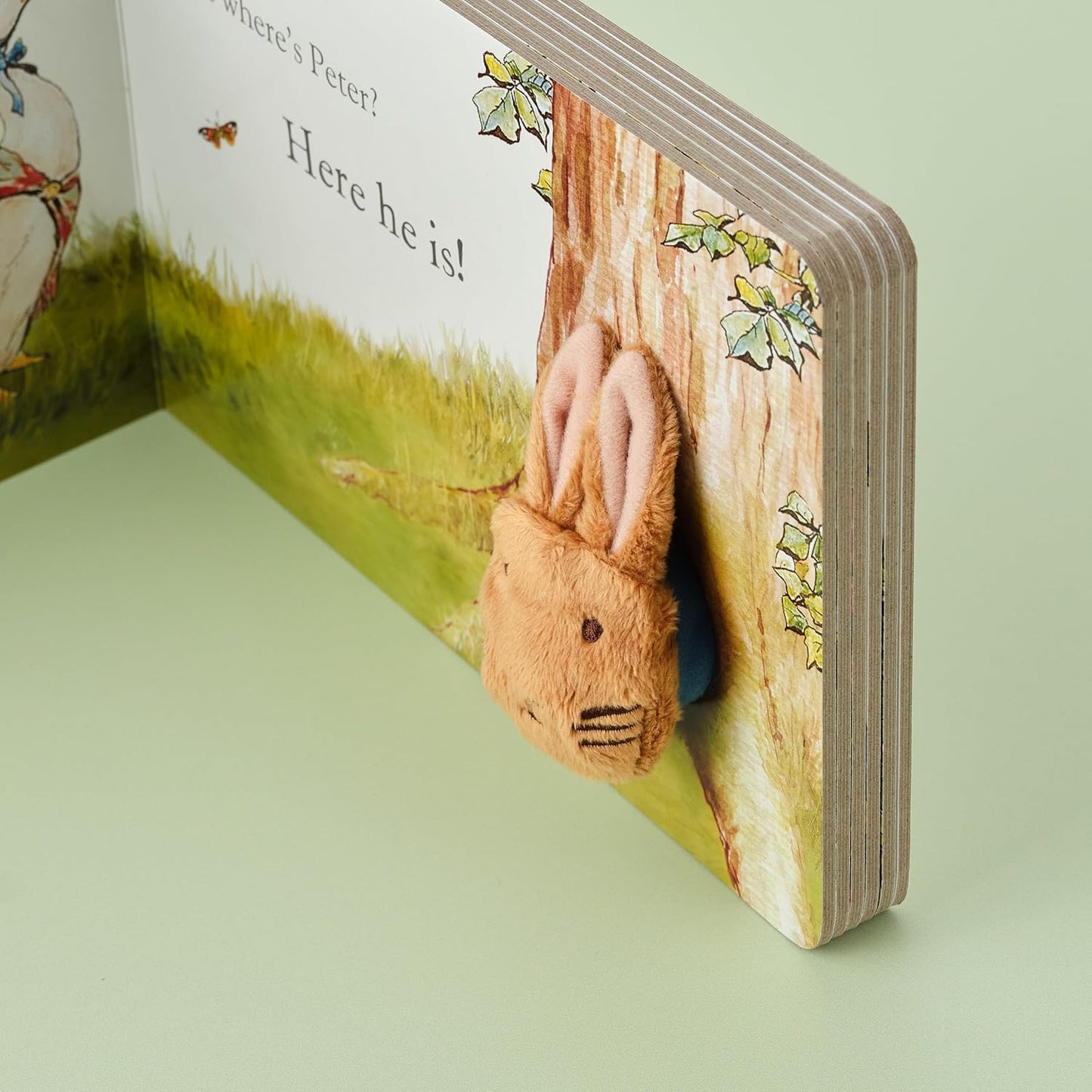 Rainbow Designs Peter Rabbit Finger Puppet Book