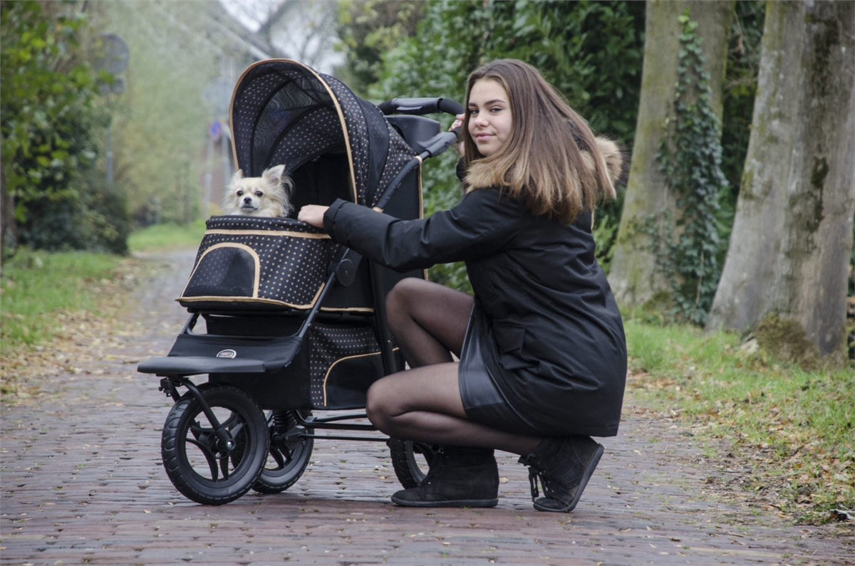 Innopet Adventure Pet Buggy