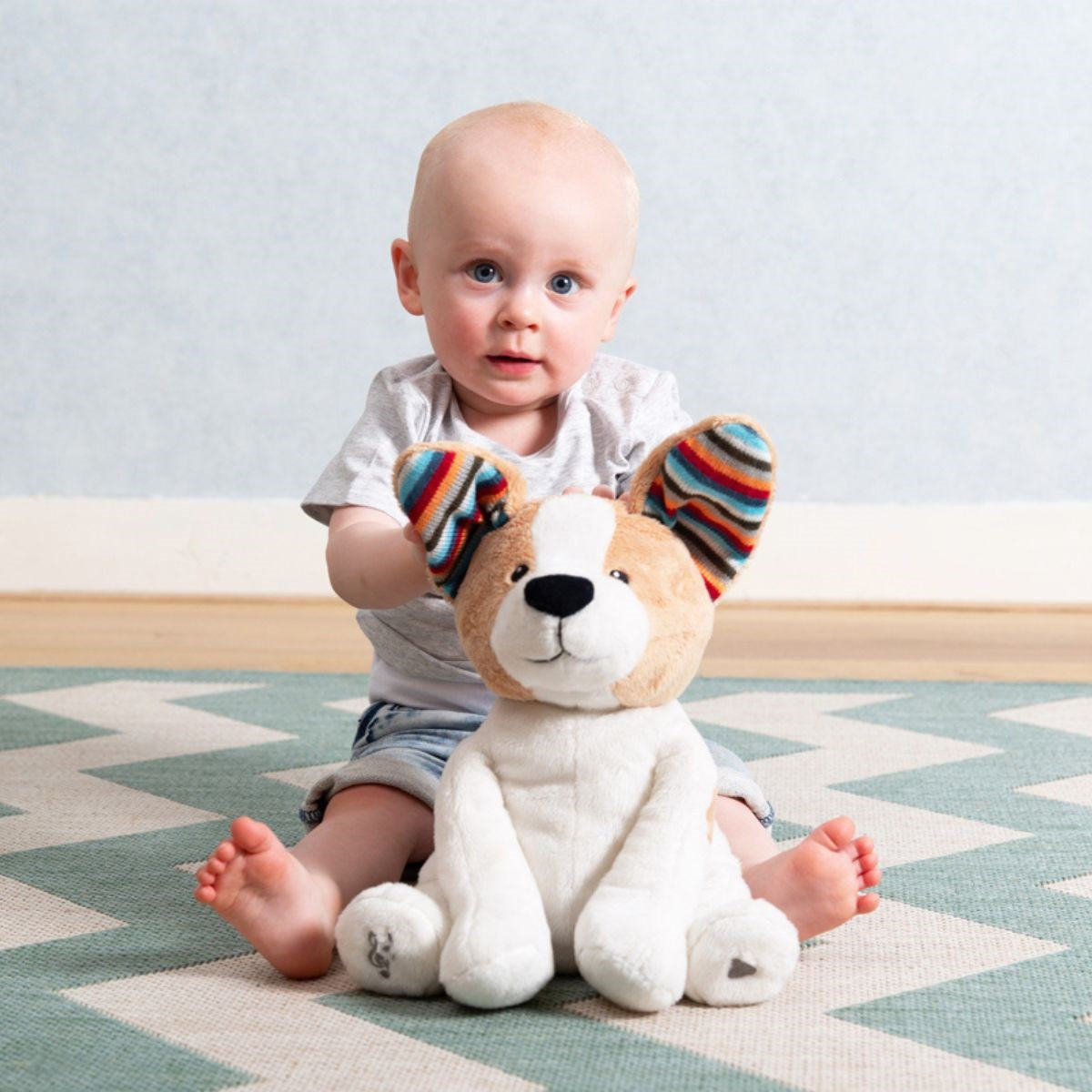 Zazu Danny The Dog ‚ Peek-a-Boo Interactive Soft Toy