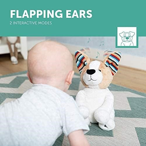 Zazu Danny The Dog ‚ Peek-a-Boo Interactive Soft Toy