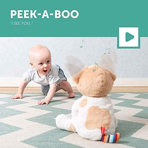 Zazu Danny The Dog ‚ Peek-a-Boo Interactive Soft Toy