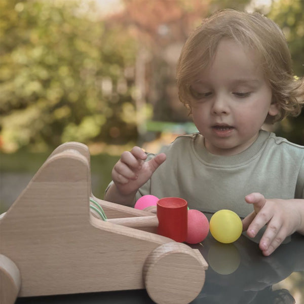 Bajo Wooden Catapult