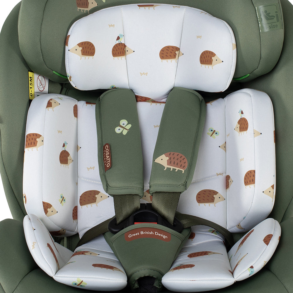 Get Set Grow Lite Car Seat Hoglet