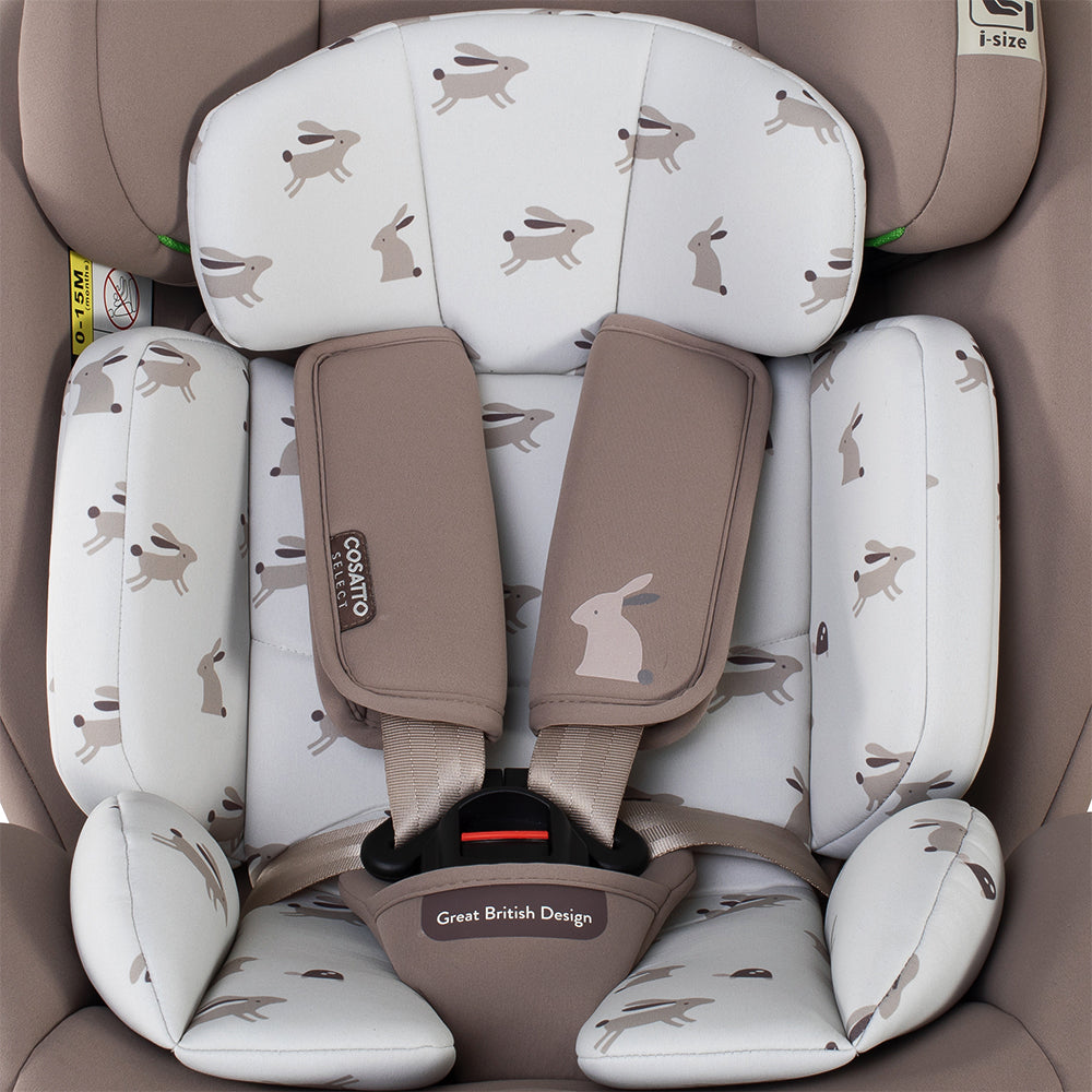 Get Set Grow Lite Car Seat Lollop