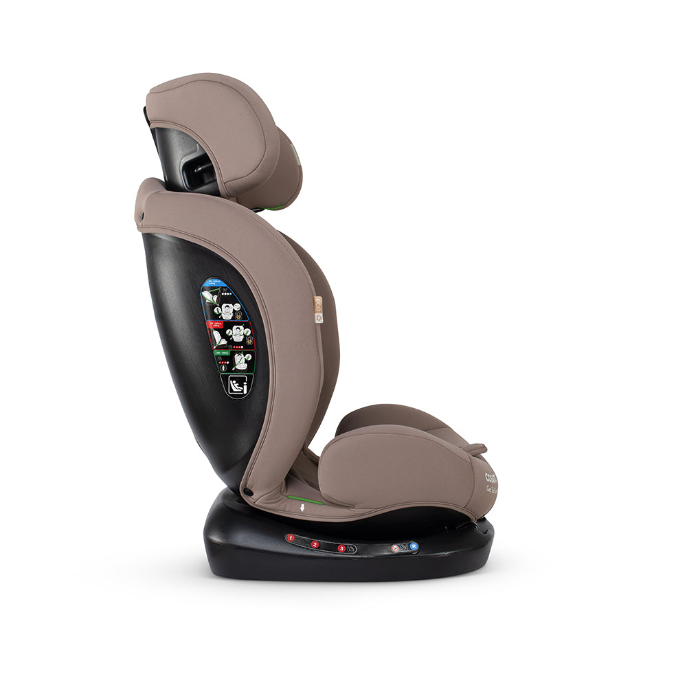 Get Set Grow Lite Car Seat Lollop