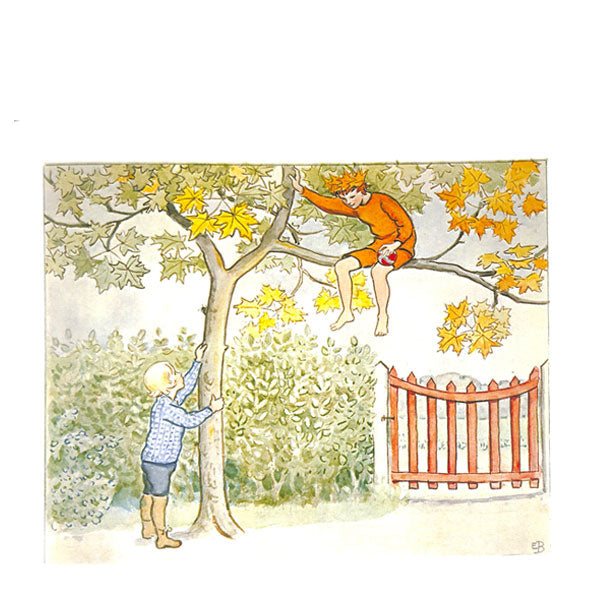 Christopher's Garden Mini - Elsa Beskow