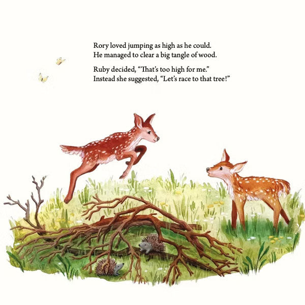 Rory the Little Red Deer - Lynne Rickards