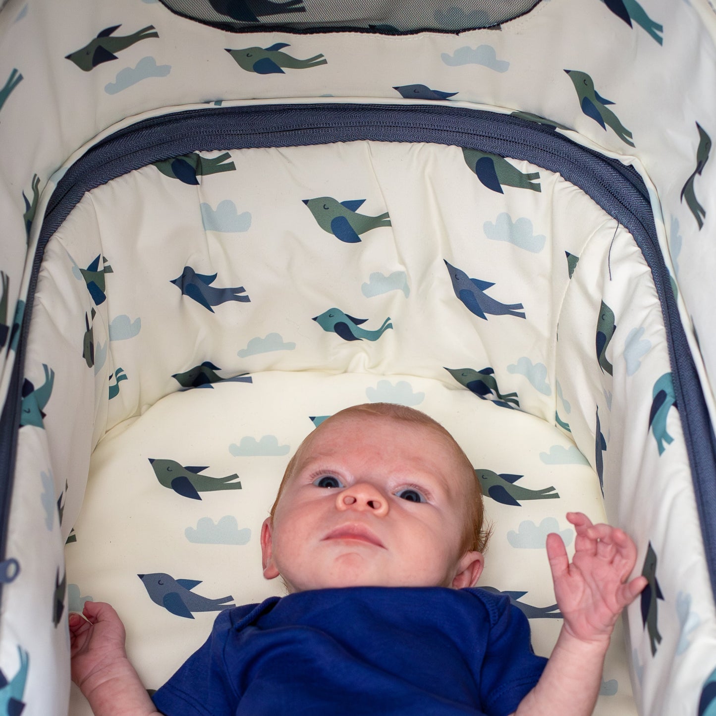 Giggle 4 Special Edition Everything Bundle Skylark