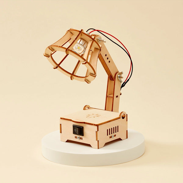 LED Lamp Craft Kit