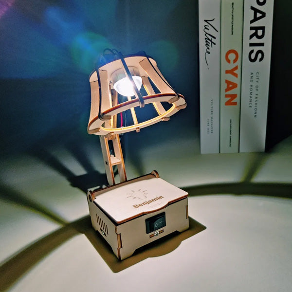 LED Lamp Craft Kit