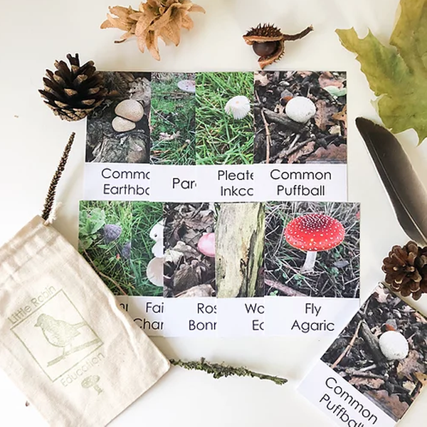 Little Robin Education Mushroom Flashcards