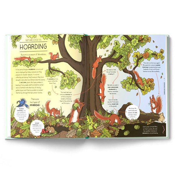 Nature Explained : A Family Guide to 20 Nature Cycles - Helen Brown