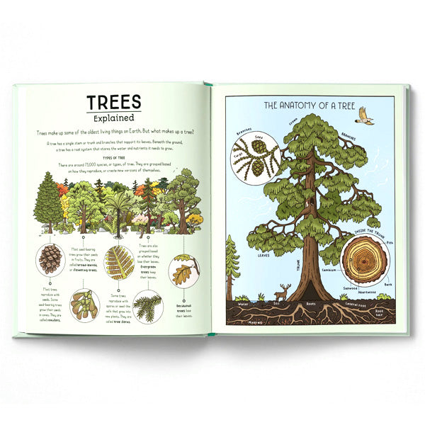 Nature Explained : A Family Guide to 20 Nature Cycles - Helen Brown