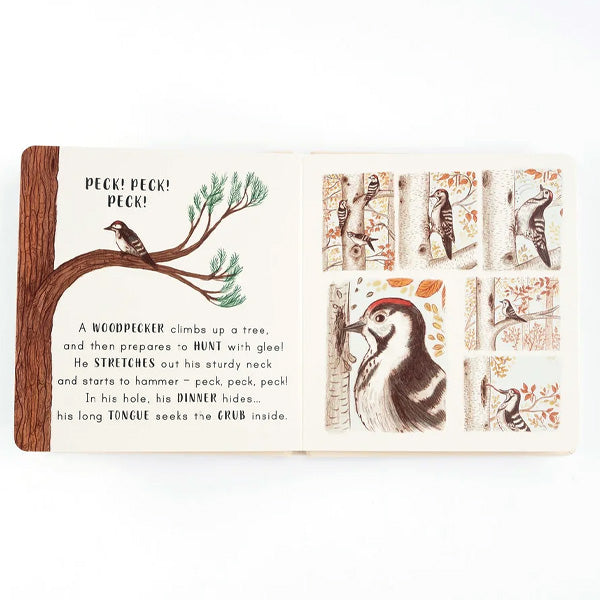 Slow Down… Discover Nature in the Park - Freya Hartas