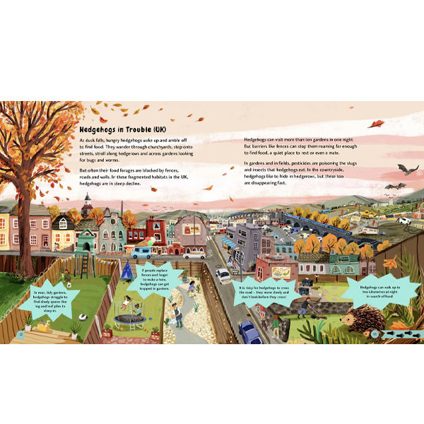 Wildlife Crossings : Protecting Animal Pathways Around the World - Catherine Barr