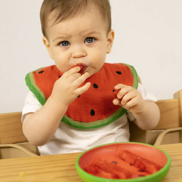 Oli&Carol Wally the Watermelon Bib