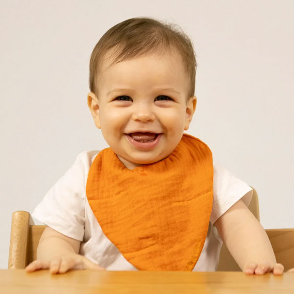 Oli&Carol Cathy the Carrot Bib