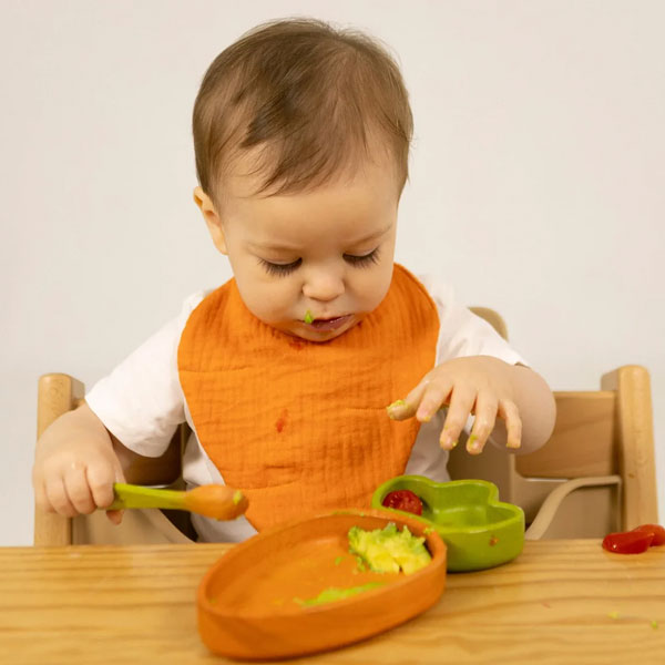 Oli&Carol Cathy the Carrot Bib