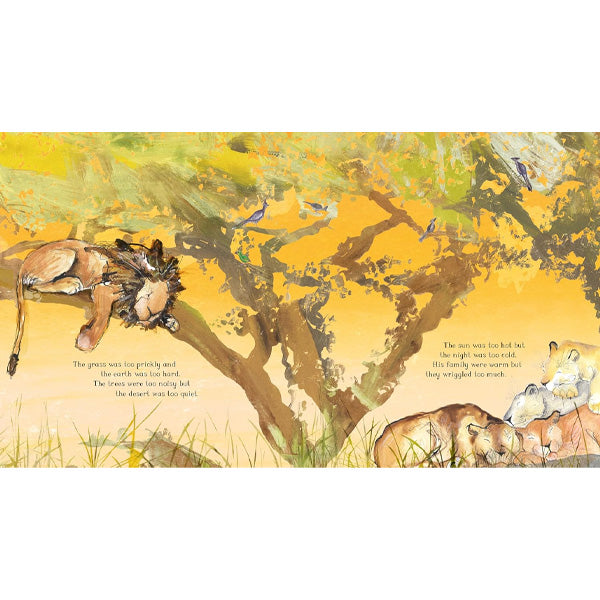 Arlo The Lion Who Couldn't Sleep - Catherine Rayner
