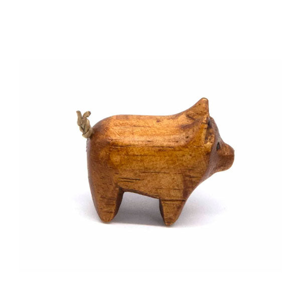 Mini Pocket Pig