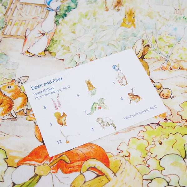 Sarah's Silks Peter Rabbit Seek & Find Playsilk