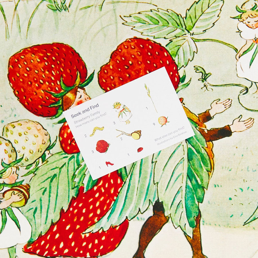 Sarah's Silks Strawberry Family Seek & Find