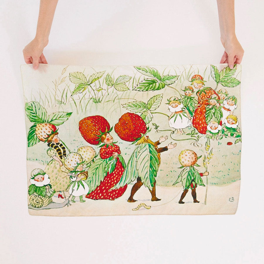 Sarah's Silks Strawberry Family Seek & Find