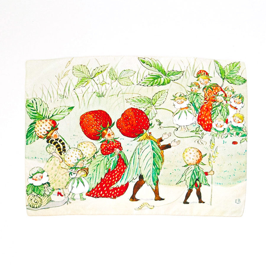 Sarah's Silks Strawberry Family Seek & Find