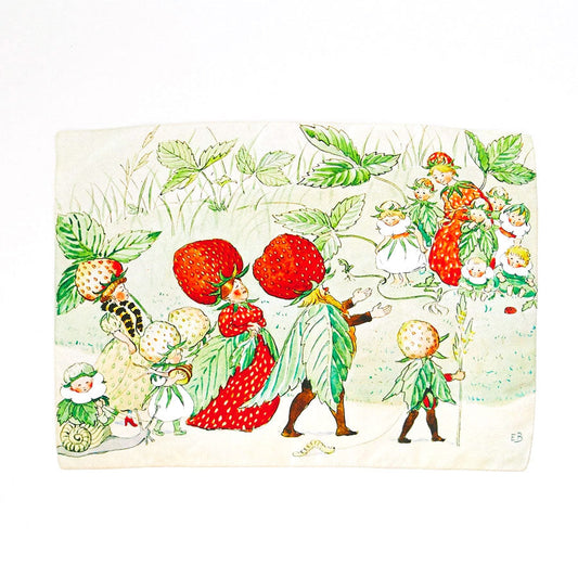 Sarah's Silks Strawberry Family Seek & Find